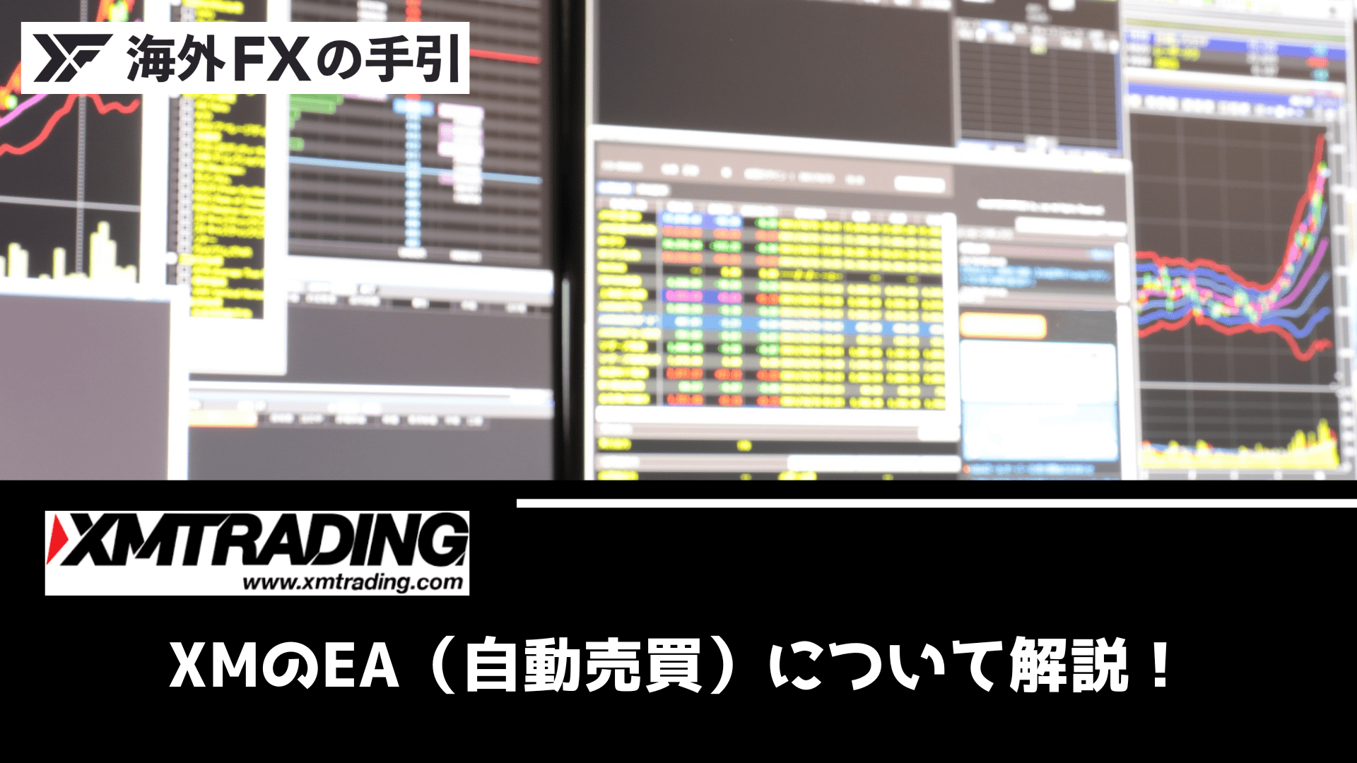 XMの自動売買（EA）の設定方法！導入手順・注意点